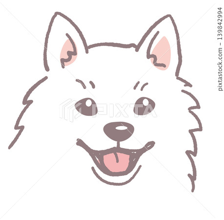尖嘴犬。狗臉插圖。向量圖。 尖嘴犬。狗臉插圖。向量圖。 139842994