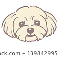 馬爾濟斯犬。狗臉插圖。向量圖。 馬爾濟斯犬。狗臉插圖。向量圖。 139842995