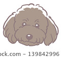 貴賓犬。狗臉插圖。向量圖。 貴賓犬。狗臉插圖。向量圖。 139842996