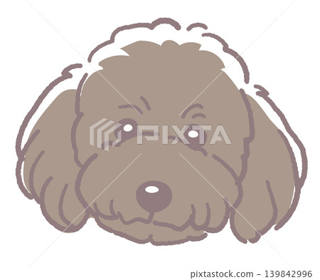 Poodle. Illustration of a dog's face. Vector. Poodle. Illustration of a dog's face. Vector. 139842996