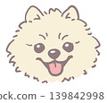博美犬。狗臉插圖。向量圖。 博美犬。狗臉插圖。向量圖。 139842998