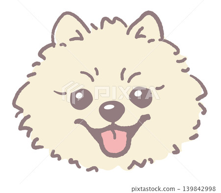 Pomeranian. Illustration of a dog's face. Vector. Pomeranian. Illustration of a dog's face. Vector. 139842998