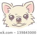 吉娃娃。狗臉插圖。向量圖。 吉娃娃。狗臉插圖。向量圖。 139843000