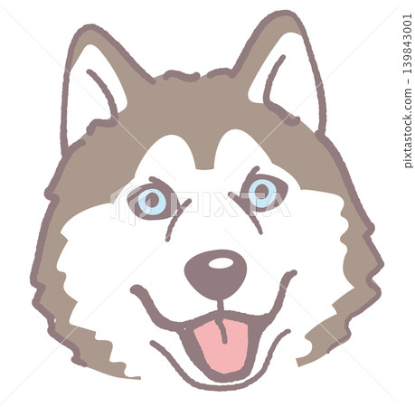 西伯利亞哈士奇犬。狗臉插圖。向量圖。 西伯利亞哈士奇犬。狗臉插圖。向量圖。 139843001