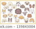 一組狗狗臉部的插圖。 一組狗狗臉部的插圖。 139843004