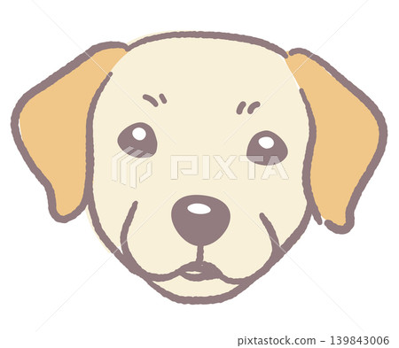 拉布拉多尋回犬。狗臉插圖。向量圖。 139843006