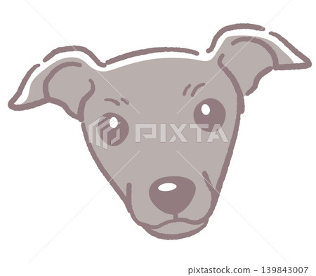 義大利靈緹犬。狗臉插圖。向量圖。 139843007