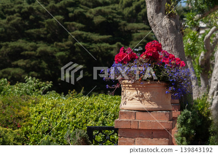 Bautiful public garden in Capri island Bautiful public garden in Capri island 139843192