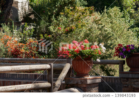 Bautiful public garden in Capri island 139843193