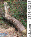 A tree trunk lying on its side 139843218