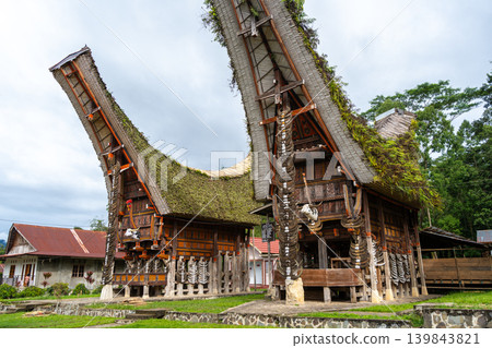 Traditional Toraja houses with buffalo horns, Sulawesi, Indonesia Traditional Toraja houses with buffalo horns, Sulawesi, Indonesia 139843821