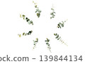 Watercolor-style eucalyptus circular frame illustration, wreath, copy space, vector. 139844134