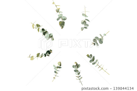 水彩風格的尤加利圓形邊框插圖,花環,留白,向量圖。 水彩風格的尤加利圓形邊框插圖,花環,留白,向量圖。 139844134