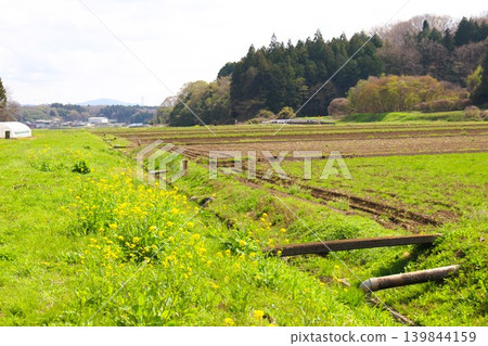 《龍貓》中的風景 《龍貓》中的風景 139844159