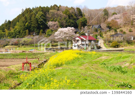 《龍貓》中的風景 《龍貓》中的風景 139844160