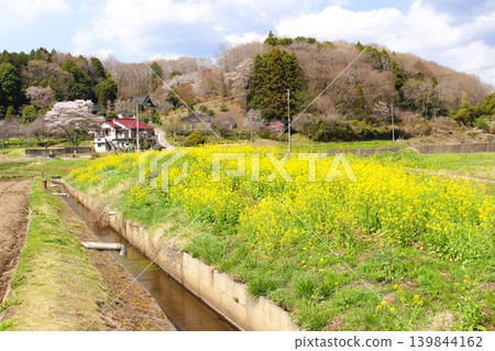 《龍貓》中的風景 《龍貓》中的風景 139844162