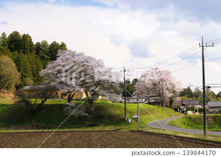 《龍貓》中的風景 《龍貓》中的風景 139844170