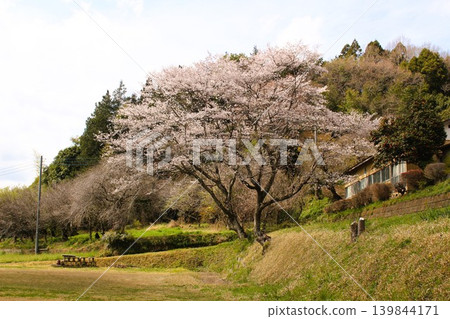 Scenery from My Neighbor Totoro Scenery from My Neighbor Totoro 139844171