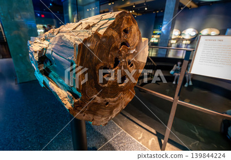 New york, usa august 19,2024. Large petrified tree trunk fossil displaying distinct annual rings and colorful mineral replacement, exhibited in a dark museum hall New york, usa august 19,2024. Large petrified tree trunk fossil displaying distinct annual rings and colorful mineral replacement, exhibited in a dark museum hall 139844224