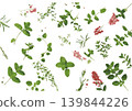 Watercolor-style herb background illustration: Mint, rosemary, thyme, pink pepper (vector) 139844226