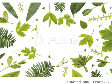 水彩風格的清新綠葉和植物插圖，留有空白區域。向量圖。 139844227
