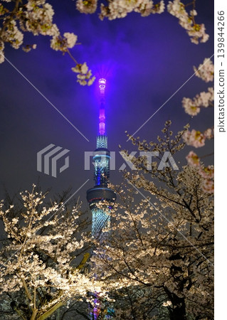 東京晴空塔和墨田公園的夜色櫻花 東京晴空塔和墨田公園的夜色櫻花 139844266