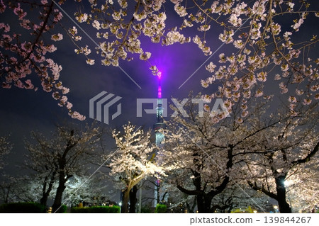 東京晴空塔和墨田公園的夜色櫻花 東京晴空塔和墨田公園的夜色櫻花 139844267