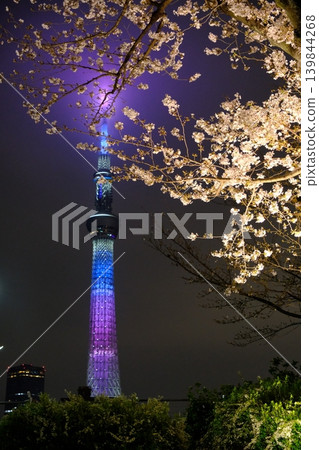 東京晴空塔和墨田公園的夜色櫻花 東京晴空塔和墨田公園的夜色櫻花 139844268