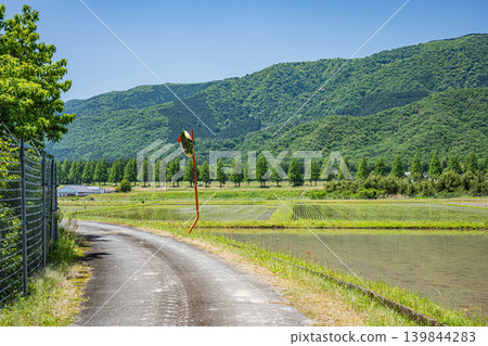 The tranquil rural landscape of Oku-Biwako, Makino-cho, Takashima City, Shiga Prefecture 139844283