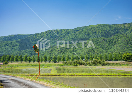 A tranquil rural landscape of Oku-Biwako, lined with Metasequoia trees, Makino-cho, Takashima City, Shiga Prefecture. 139844284