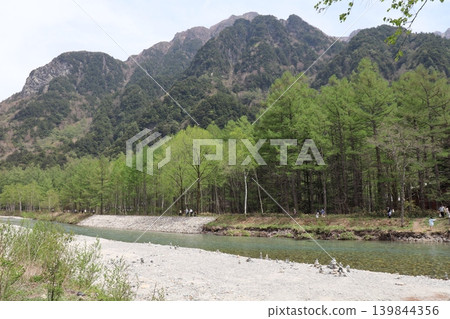 Kamikochi - The clear Azusa River and larch forest Kamikochi - The clear Azusa River and larch forest 139844356