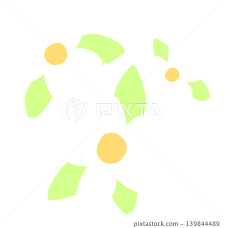 Daisy white color flower Daisy white color flower 139844489