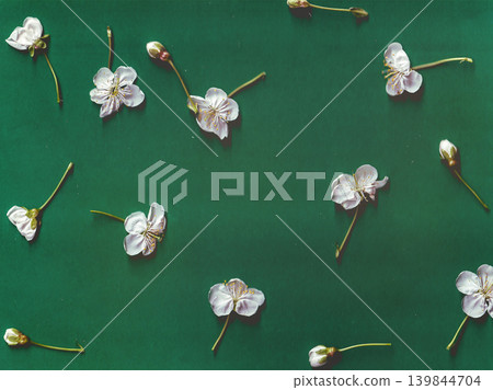 Minimalist flat lay of white spring cherry blossoms on deep emerald green background. Elegant floral pattern with cherry flowers and buds. Concept of renewal, organic beauty, and sustainable design. Minimalist flat lay of white spring cherry blossoms on deep emerald green background. Elegant floral pattern with cherry flowers and buds. Concept of renewal, organic beauty, and sustainable design. 139844704