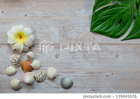 海洋日圖片 海洋日圖片 139845076