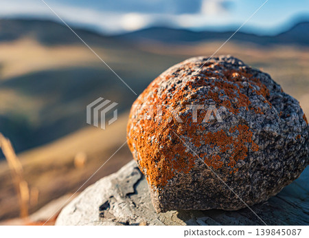 A textured gray rock adorned with vibrant orange lichen sits prominently on another rock in the Altai landscape A textured gray rock adorned with vibrant orange lichen sits prominently on another rock in the Altai landscape 139845087