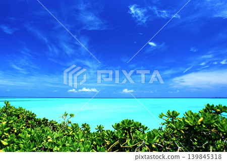 沖繩的夏天:美麗的海 沖繩的夏天:美麗的海 139845318