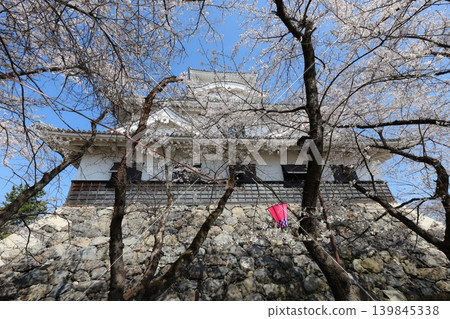 Nagahama Castle, Shiga Prefecture: The castle where Hashiba Hideyoshi rose to power; scenes from the spring castle festival. Nagahama Castle, Shiga Prefecture: The castle where Hashiba Hideyoshi rose to power; scenes from the spring castle festival. 139845338