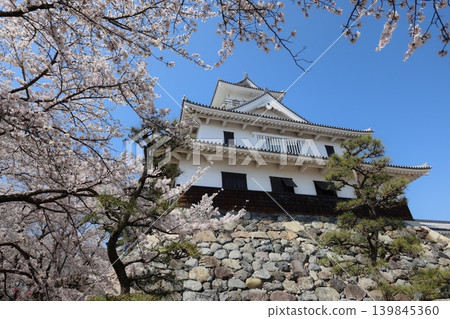 Nagahama Castle, Shiga Prefecture: The castle where Hashiba Hideyoshi rose to power; scenes from the spring castle festival. Nagahama Castle, Shiga Prefecture: The castle where Hashiba Hideyoshi rose to power; scenes from the spring castle festival. 139845360