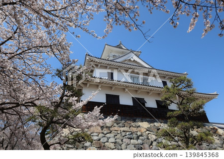 Nagahama Castle, Shiga Prefecture: The castle where Hashiba Hideyoshi rose to power; scenes from the spring castle festival. Nagahama Castle, Shiga Prefecture: The castle where Hashiba Hideyoshi rose to power; scenes from the spring castle festival. 139845368