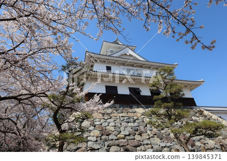 Nagahama Castle, Shiga Prefecture: The castle where Hashiba Hideyoshi rose to power; scenes from the spring castle festival. Nagahama Castle, Shiga Prefecture: The castle where Hashiba Hideyoshi rose to power; scenes from the spring castle festival. 139845371