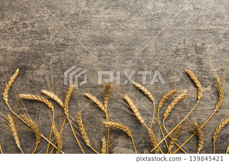 Sheaf of wheat ears close up and seeds on colored background. Natural cereal plant, harvest time concept. Top view, flat lay with copy space. world wheat crisis Sheaf of wheat ears close up and seeds on colored background. Natural cereal plant, harvest time concept. Top view, flat lay with copy space. world wheat crisis 139845421