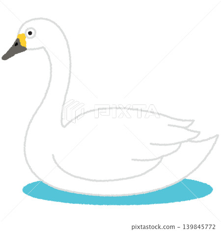 swan illustration swan illustration 139845772