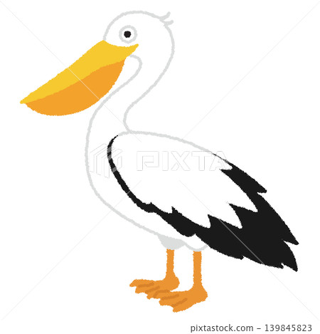 鵜鶘插圖 鵜鶘插圖 139845823
