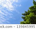 Blue sky and fresh green 139845995
