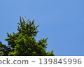 Blue sky and fresh green 139845996