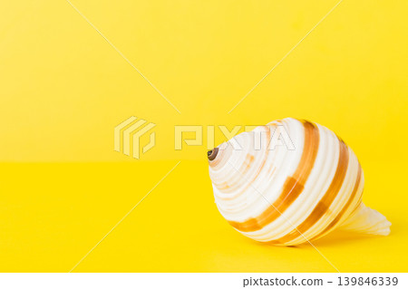 Summer time concept with sea shells or starfish on a table background with copy space for text Summer time concept with sea shells or starfish on a table background with copy space for text 139846339