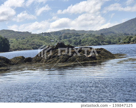 Mountain Lake Landscape with Trees and Clouds Mountain Lake Landscape with Trees and Clouds 139847125