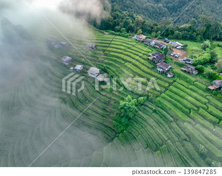 Aerial view of lush terraced rice fields with misty mountains. Sustainable rural agriculture and traditional farming harmony with nature. Tourism and cultural marketing. Traditional farming practices. 139847285