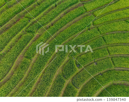 Green rice terrace field landscape. Eco living, organic farming, and mountain terraces in countryside. Eco tourism. Traditional farming, sustainable agriculture, and peaceful rural. Local travel. Green rice terrace field landscape. Eco living, organic farming, and mountain terraces in countryside. Eco tourism. Traditional farming, sustainable agriculture, and peaceful rural. Local travel. 139847340
