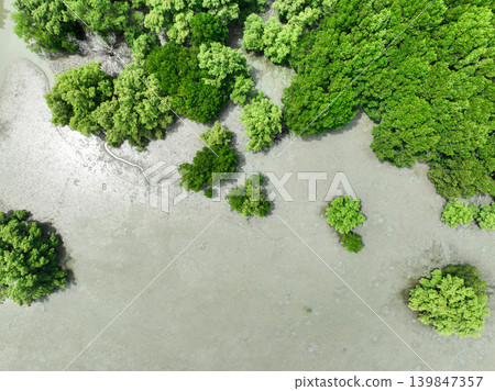 Aerial top view of green mangrove forest. Mangrove ecosystem. Natural carbon sinks. Mangroves capture CO2 from the atmosphere. Blue carbon ecosystems. Mangroves absorb carbon dioxide emissions. Aerial top view of green mangrove forest. Mangrove ecosystem. Natural carbon sinks. Mangroves capture CO2 from the atmosphere. Blue carbon ecosystems. Mangroves absorb carbon dioxide emissions. 139847357